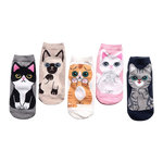 Load image into Gallery viewer, Kawaii cat socks (5 pairs)