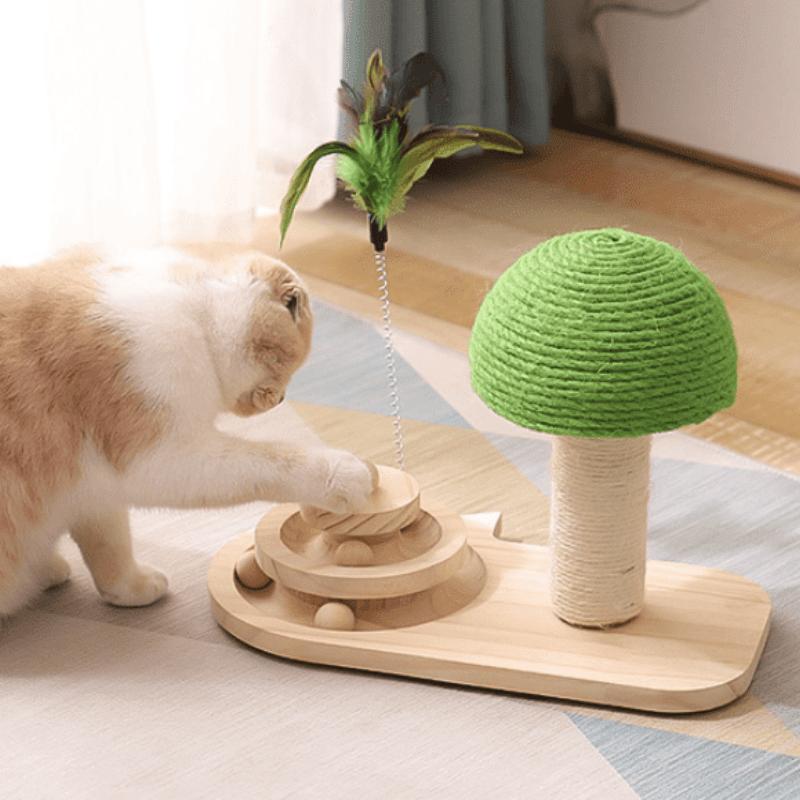Enrichment & Play Cat Toys