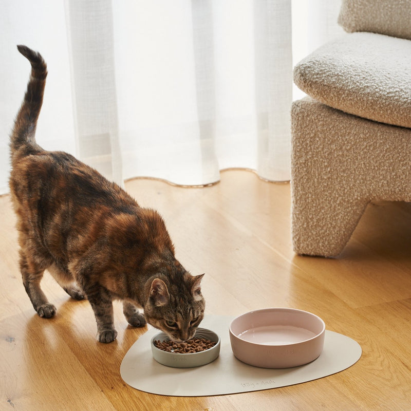Lilly + Dash Soft Glaze Ceramic Cat Bowl