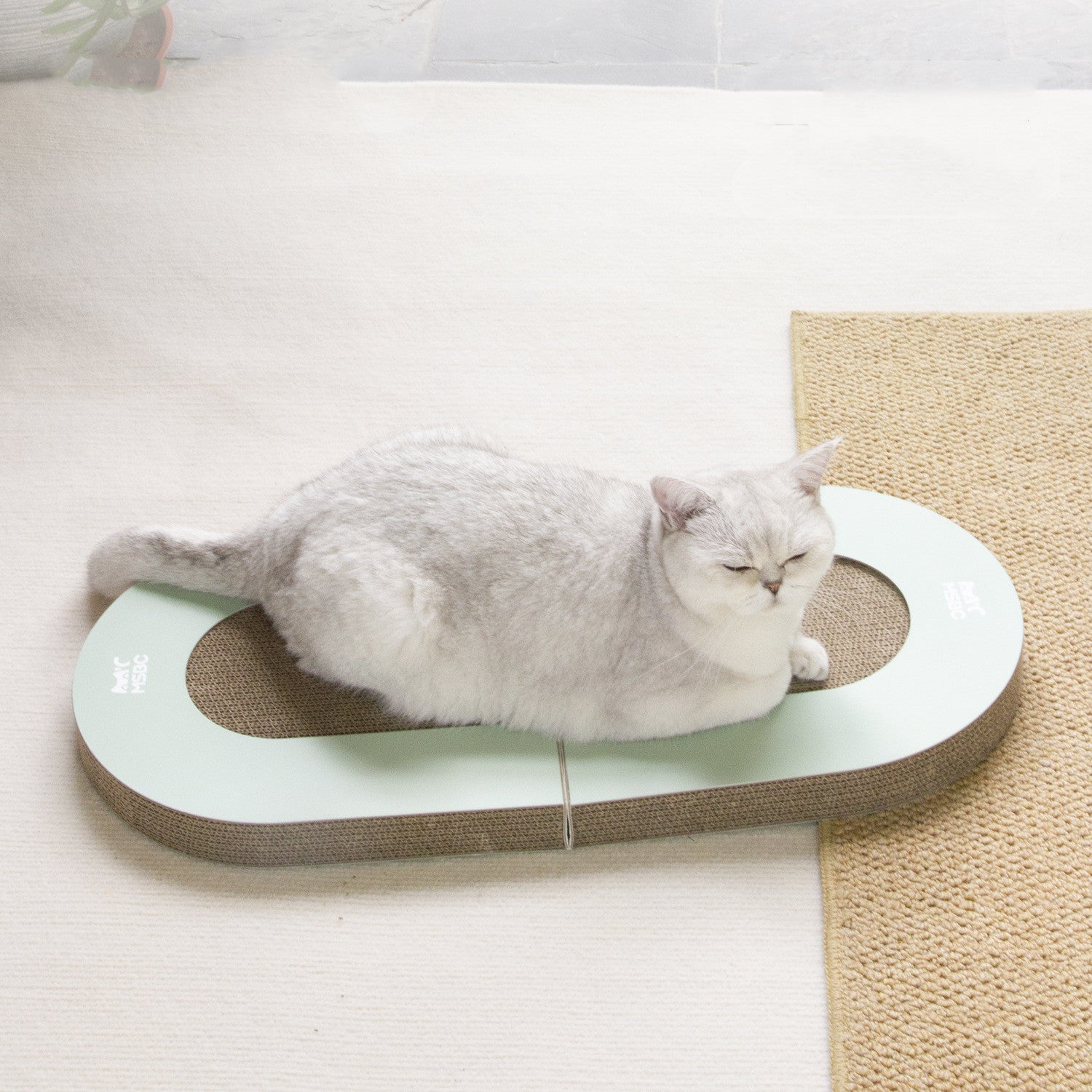 Fold & Play Interactive Cat Scratcher