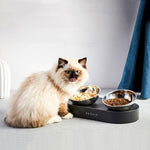 Load image into Gallery viewer, PETKIT Adjustable Stainless Steel Elevated Cat Feeding Bowl System
