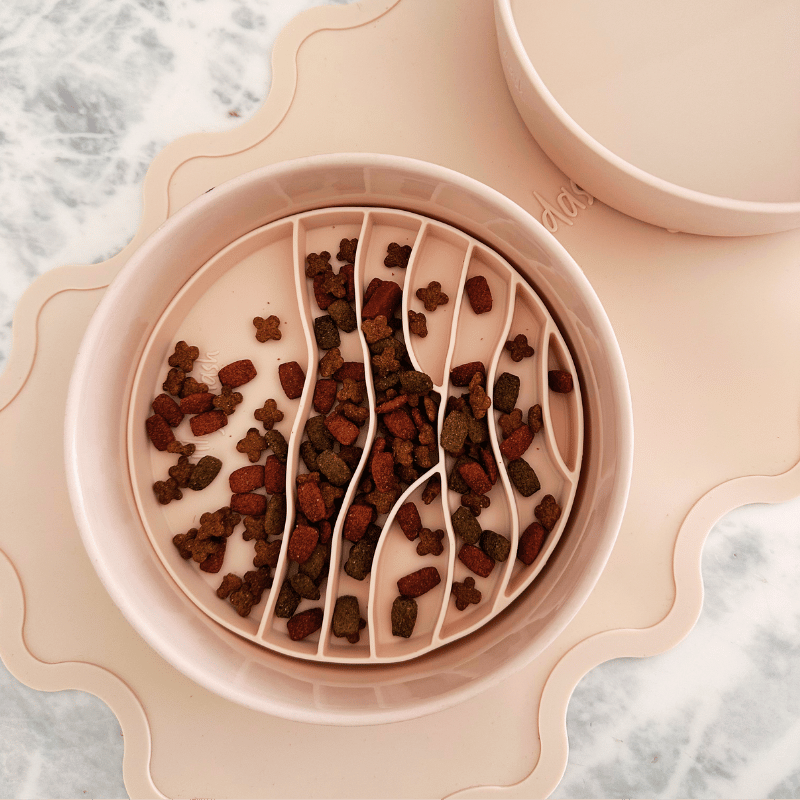 Slow Feeder Cat Bowl Insert