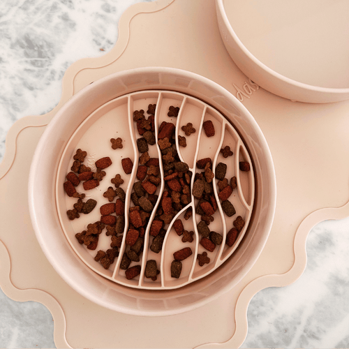 Slow Feeder Cat Bowl Insert