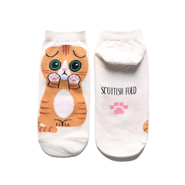 Kawaii cat socks (5 pairs)