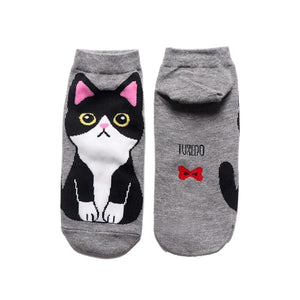 Kawaii cat socks (5 pairs)