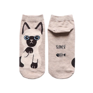 Kawaii cat socks (5 pairs)