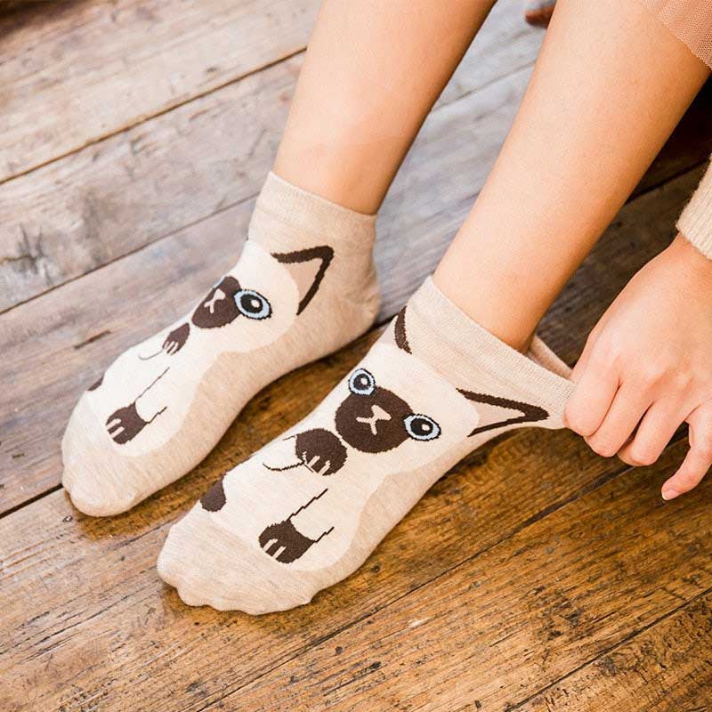 Kawaii cat socks (5 pairs)