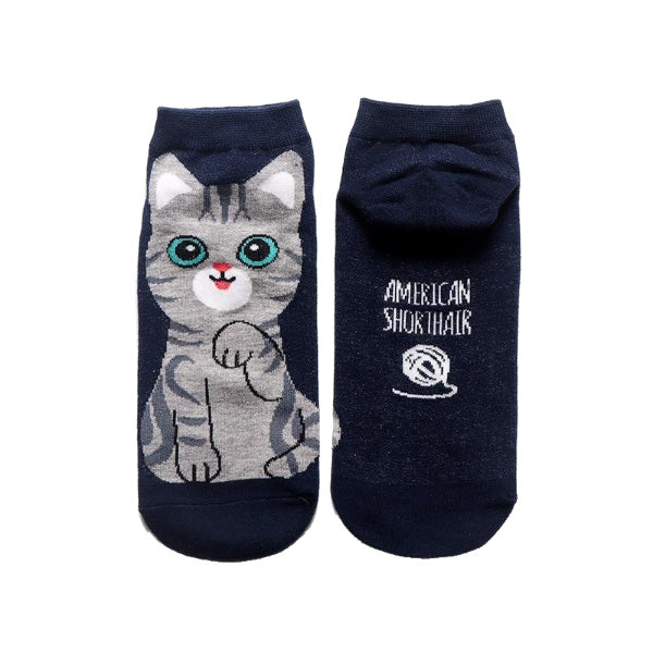 Kawaii cat socks (5 pairs)