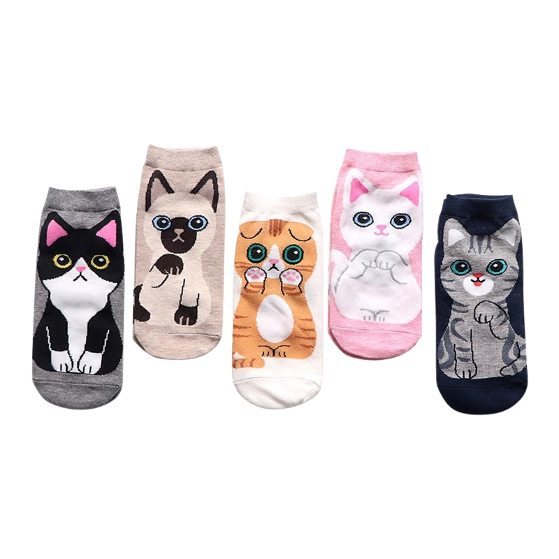 Kawaii cat socks (5 pairs)