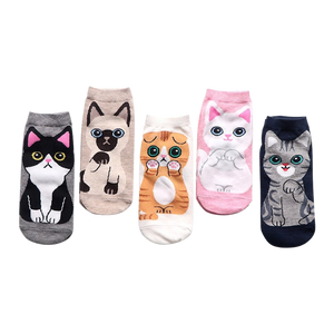 Kawaii cat socks (5 pairs)