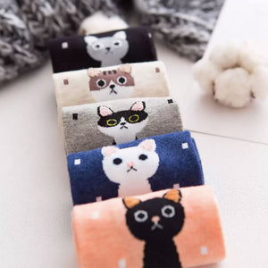 Polka dot cat socks (5 pairs)