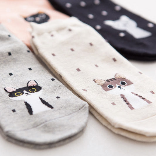 Polka dot cat socks (5 pairs)